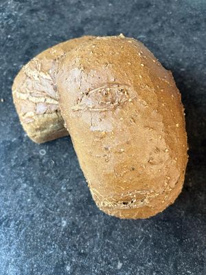 Zwarte woud