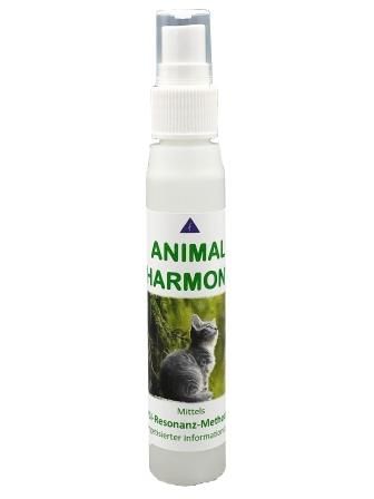 Animal Harmony