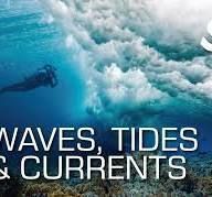 Waves, Tides and Currents Specialty Diver