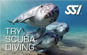 Try Scuba