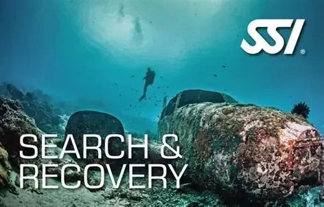 Search and Recovery