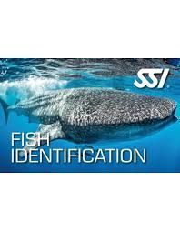 Fish Identification