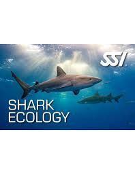 Shark Ecology