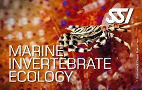Marine Invertebrates Ecology