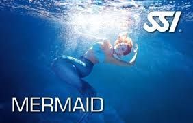 Mermaid Mermaid