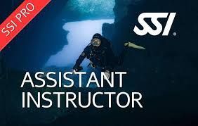 Assistant Instructor
