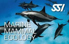 Dolphin and Marine Mammal Ecology Dolphin and Marine Mammal Ecology