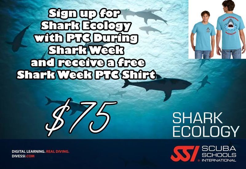 Shark Week Special (Shark Ecology Course)