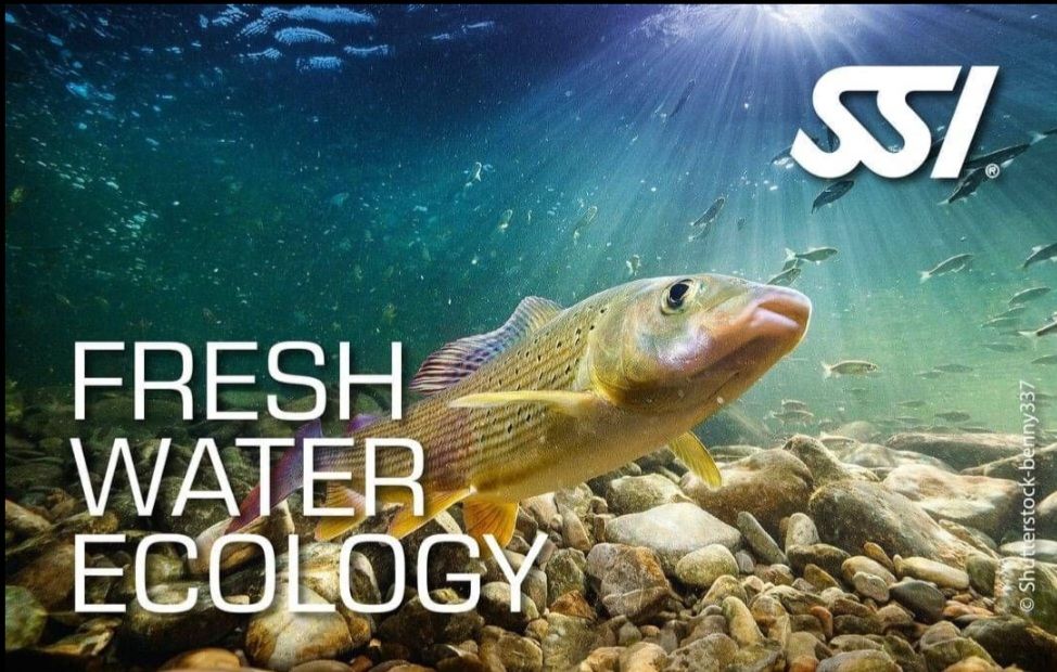 Fresh Water Instructor Course