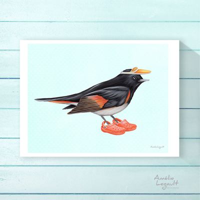 Paruline flamboyante en souliers - Affiche murale