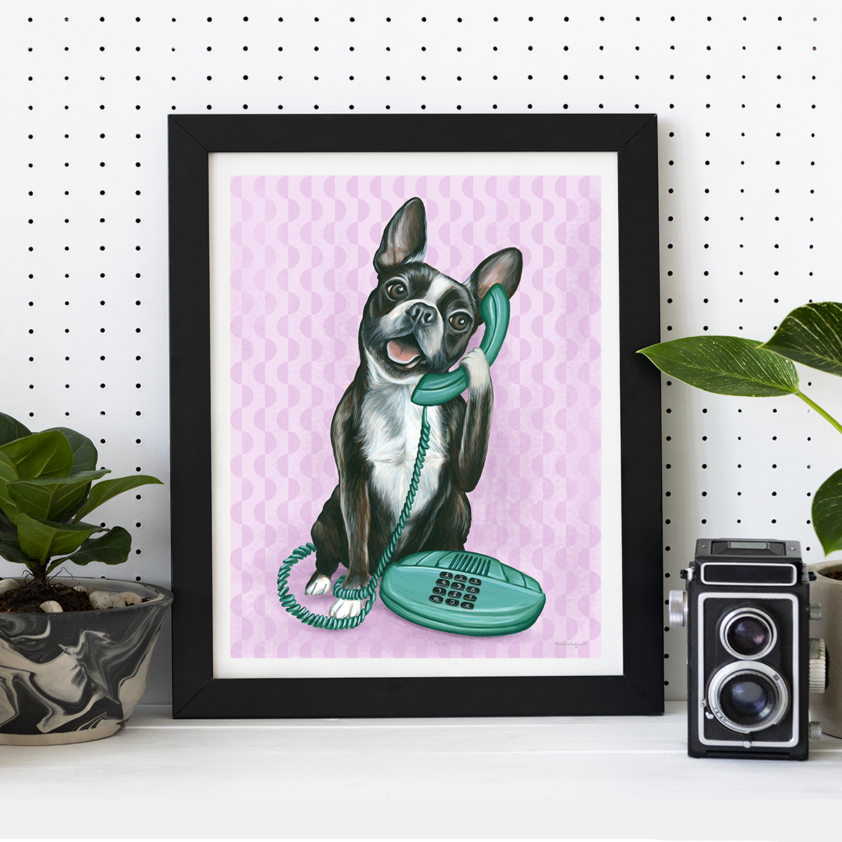 Boston Terrier au téléphone - Affiche murale