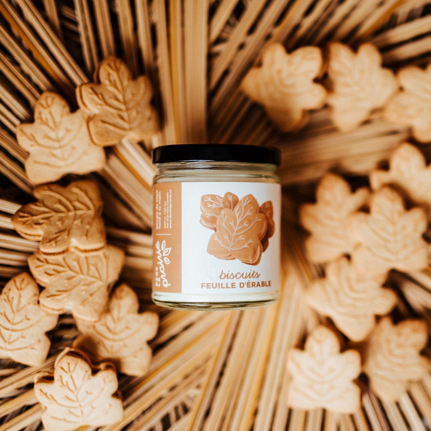 Chandelle BISCUIT ERABLE 220ML