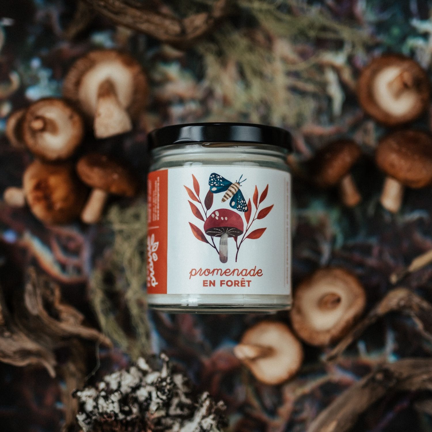 Chandelle PROMENADE EN FORÊT 220ML