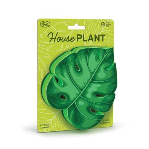 Eponge Plante 5293121