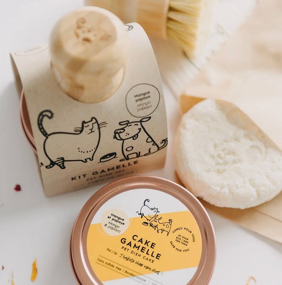 Kit gamelle (cake + brosse à vaisselle) PAPAYE MANGUE