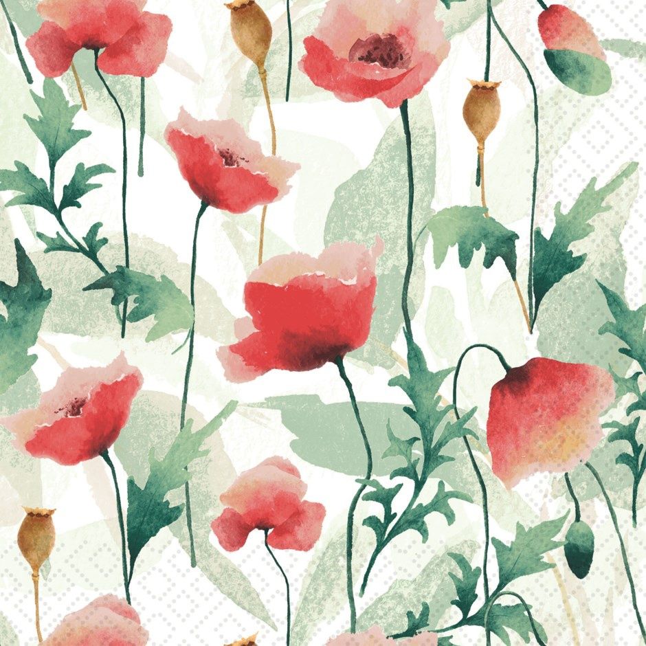 Poppies delight P209833