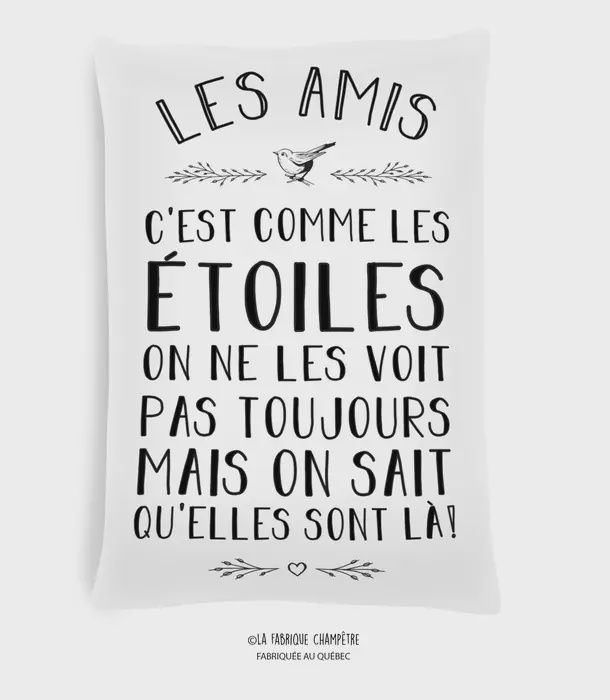 Coussin AMIS ÉTOILES FARM 269