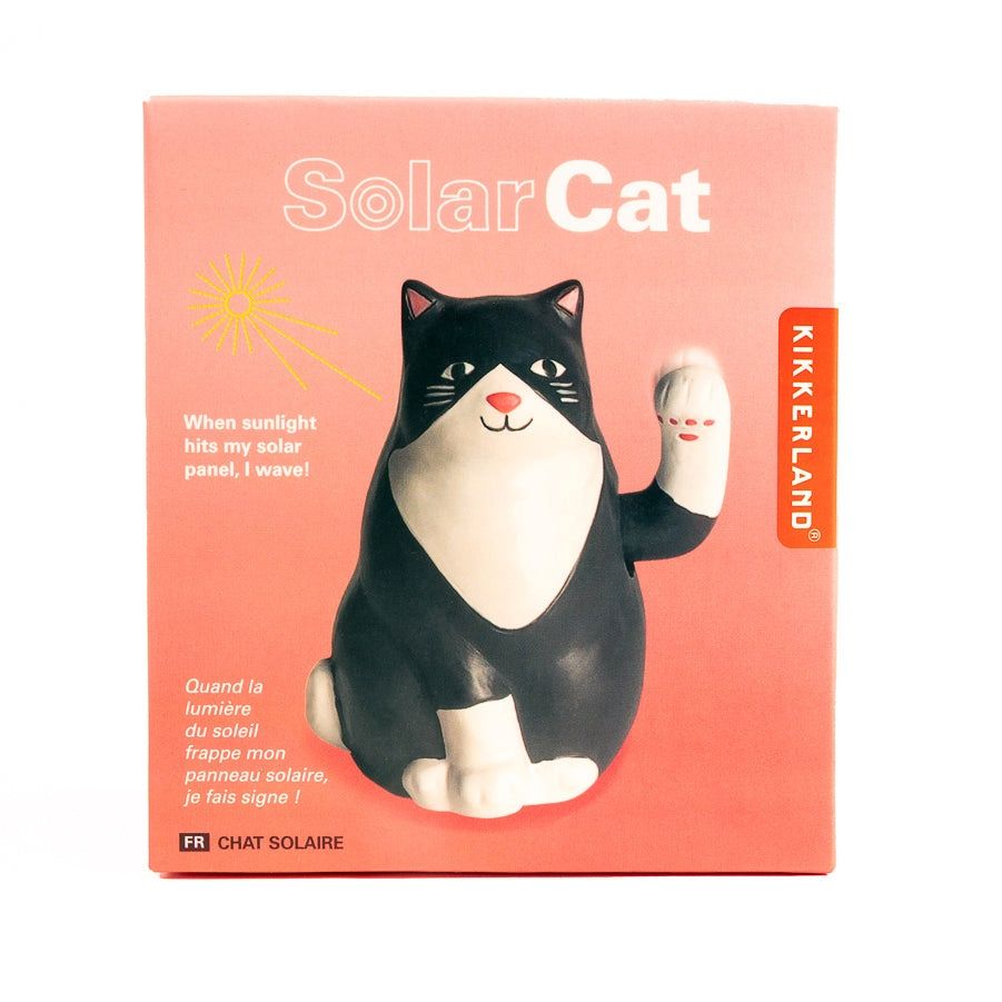 Chat solaire