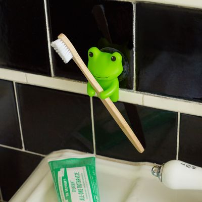 Porte brosse a dent grenouille