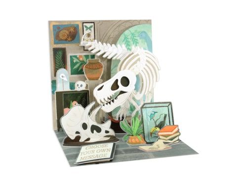 Carte 3D Musée des sciences