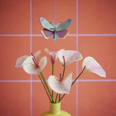 Papillon à pois Dotted