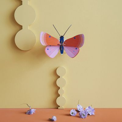 Papillon cuivré orange rose