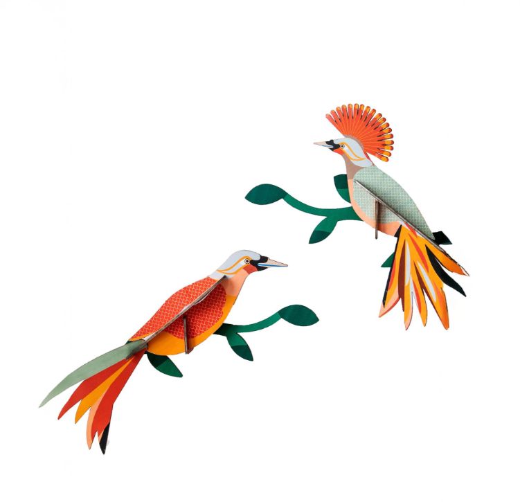 Oiseaux Obi -Décorations murales