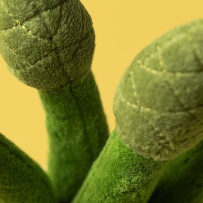 Amuseables Asparague - Asperge