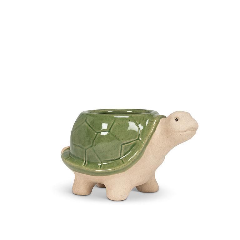 Pot tortue petit