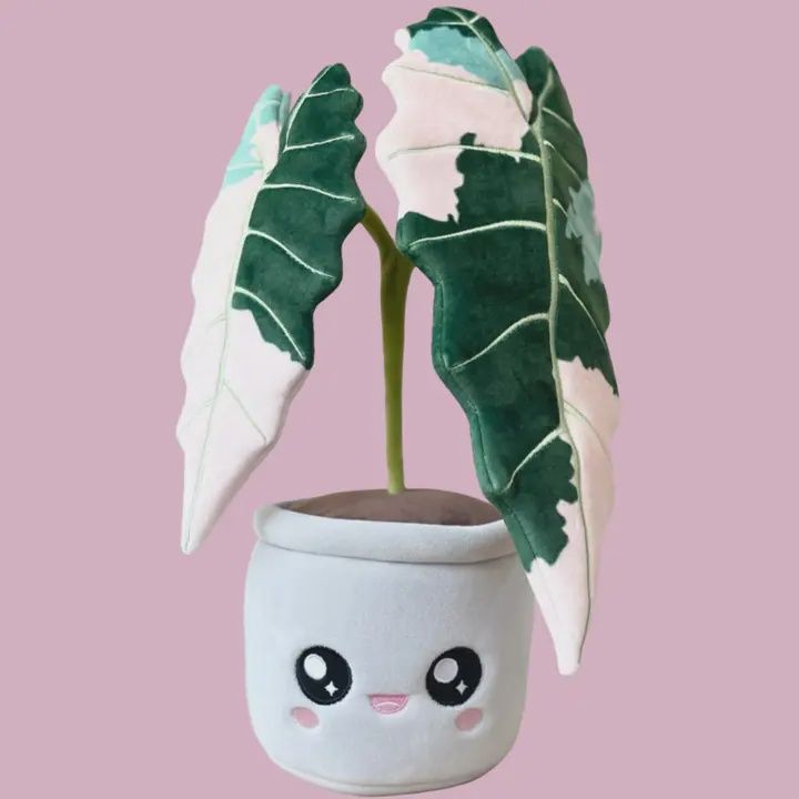 Peluche Alocasia Amazonica panachée
