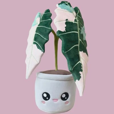 Peluche Alocasia Amazonica panachée