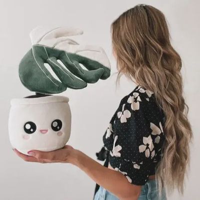 Peluche Monstera Deliciosa Albo Variegata