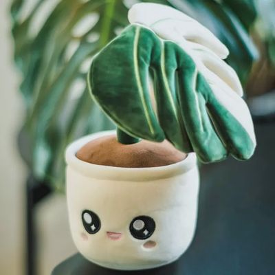 Peluche Monstera Deliciosa Albo Variegata