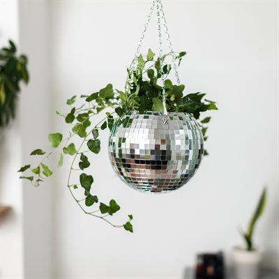 Pot Boule disco 8''