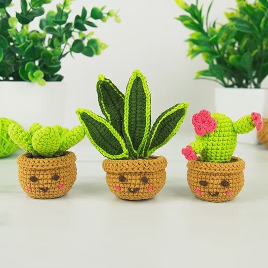 Kit trio de mini plantes d'intérieur à crocheter soi-même