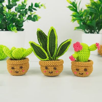 Kit trio de mini plantes d'intérieur à crocheter soi-même