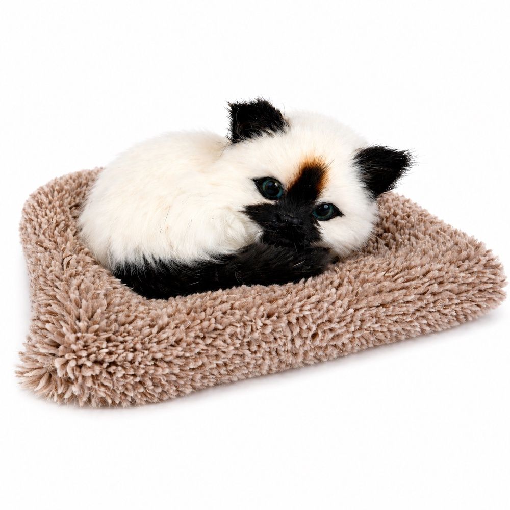 Peluche Chat Siamois yeux ouverts