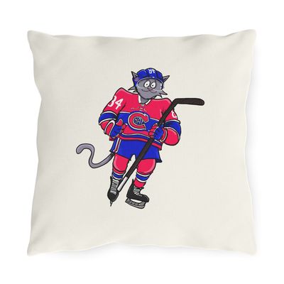 Coussin Chatnadien