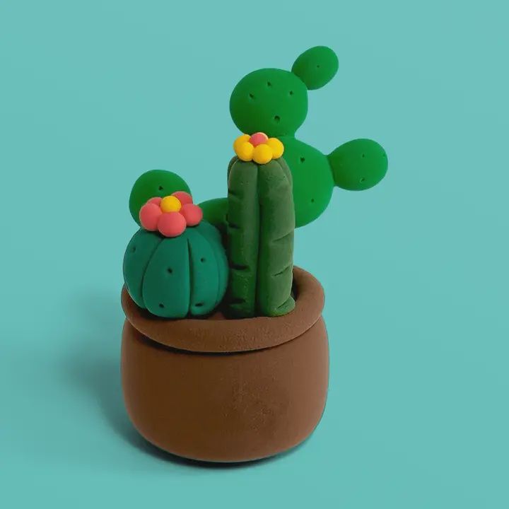 Cactus variés - Claymoo