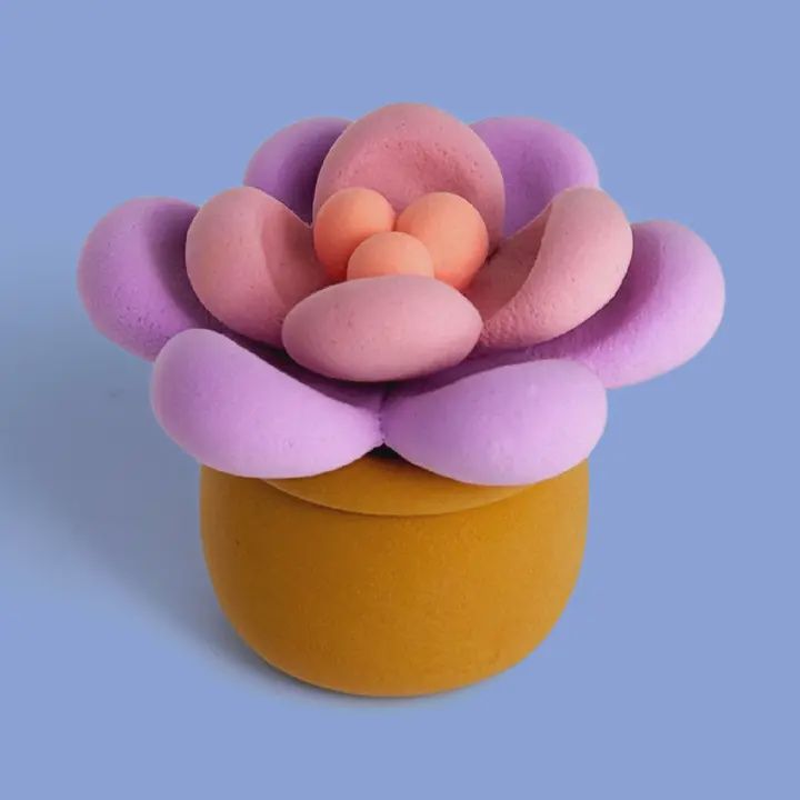 Succulente - Claymoo