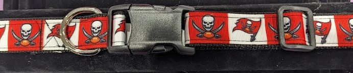 Tampa Bay Buccaneers Collar