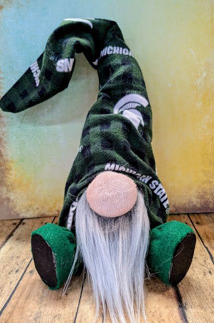 Michigan State University Gnome
