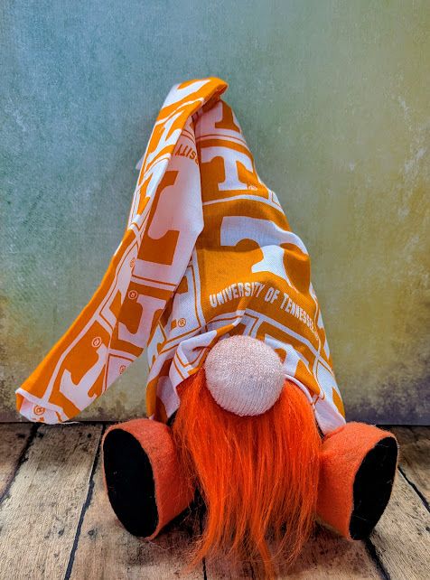 University of Tennessee Gnome