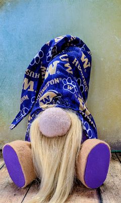 University of Washington Gnome