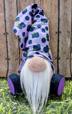 Blueberry Gnome