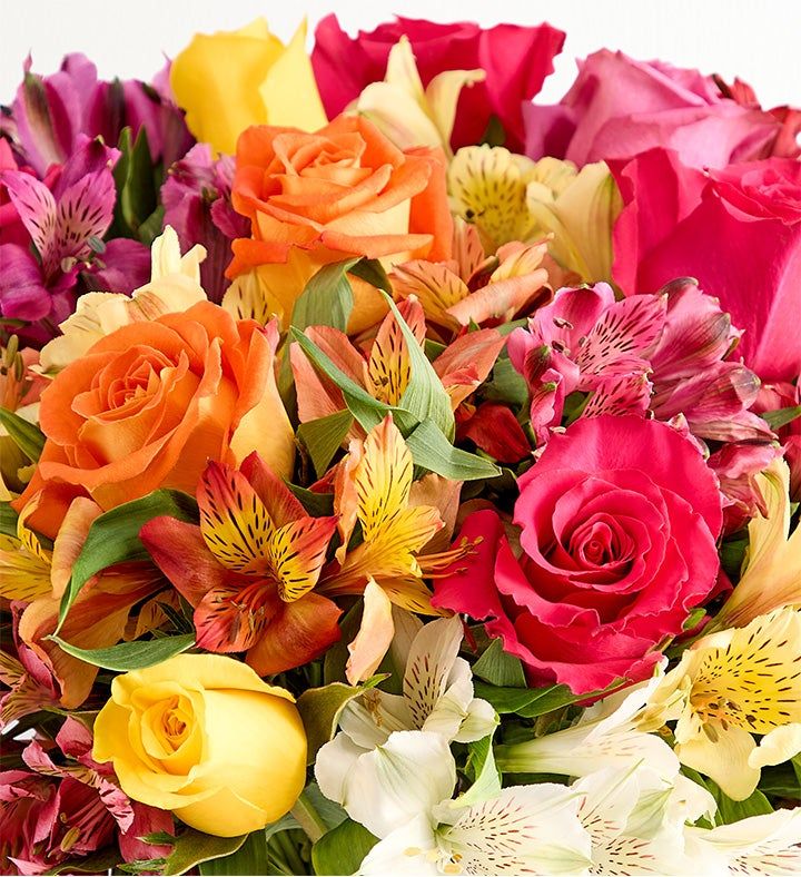Assorted Roses &amp; Peruvian Lilies