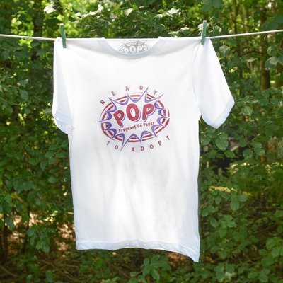 POP (Style 3)
