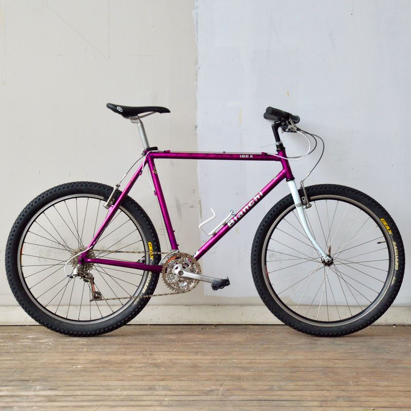 Bianchi Ibex ATB 22in