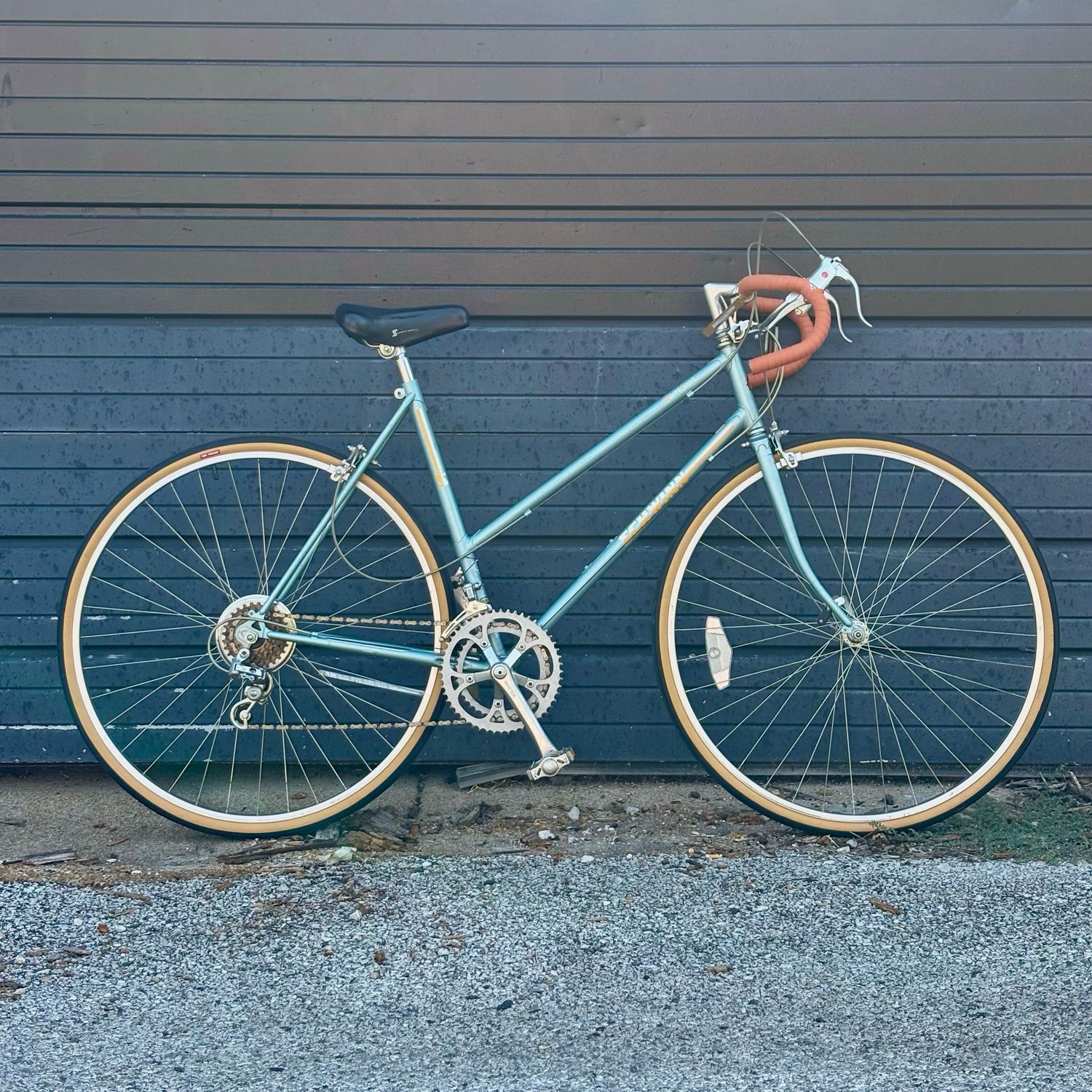 Schwinn World Sport Step Thru