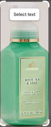 Return to yourself White Tea and Sage Bath and Body Works Gentle and Clean Foaming Hand Sand